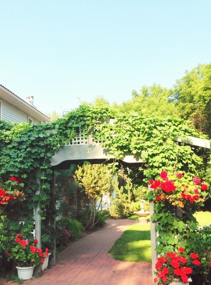 Mcdougall Lane Bed & Breakfast Drumheller Exterior foto